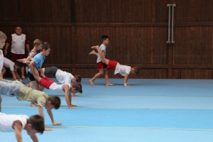 IMG 0329